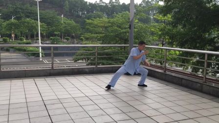 赵堡太极拳(初学)