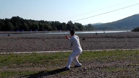 杨氏85式太极拳（邵景礼 演练）下载
