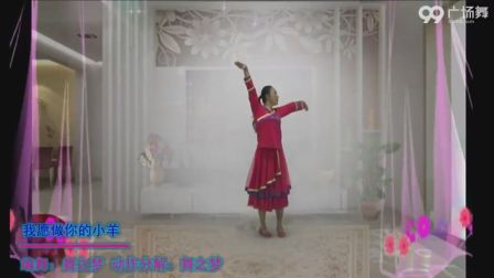 王广成广场舞中国美广场舞大全十六步(3)
