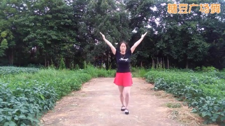 玲珑姐妹广场舞《妹妹来看我》