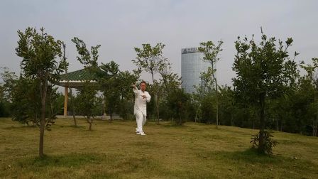 杨氏108式太极拳