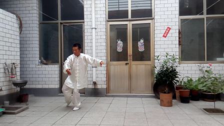 谭老太极拳