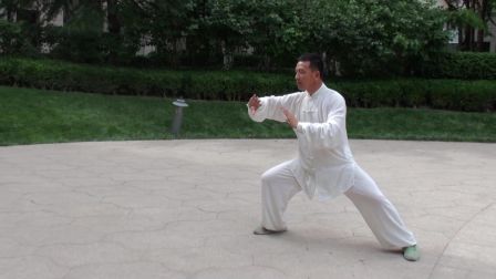传统陈式太极拳46式 邢正贵下载