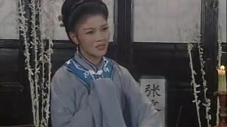 066庐剧《真假驸马》魏小波 01