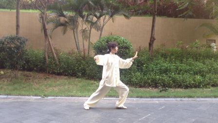式太极拳2017625