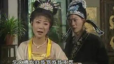 070庐剧《真假驸马》魏小波 05