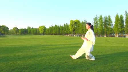 養生太極拳  二十四式