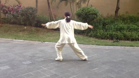 42式太极拳2017625