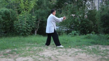 若水的太极拳