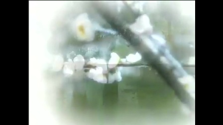 黄梅戏《二月》主题曲 王海燕下载
