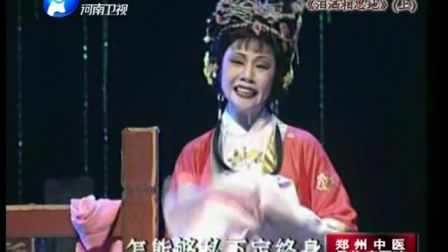 豫剧《泪洒相思地》梨园春版（上）下载