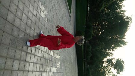 上善若水演练85式太极拳