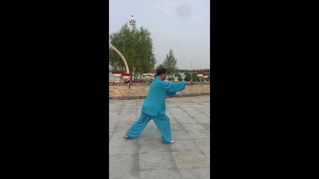 陈式太极拳混元48式