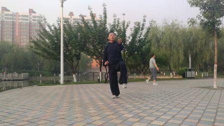 陈氏太极拳