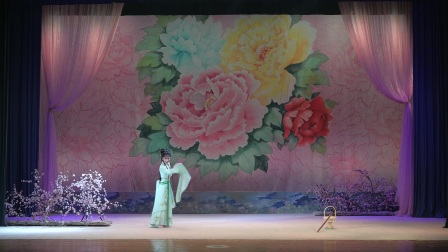 黄梅戏演员仝婷表演越剧《黛玉葬花》