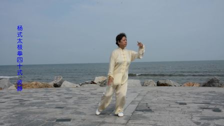 杨式太极拳40式  波静