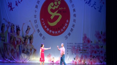 名家黄梅戏联唱