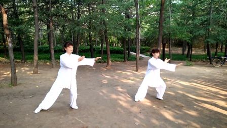 杨式四十八式太极拳