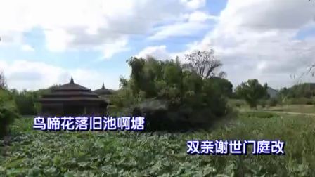淮剧《园会》字幕版