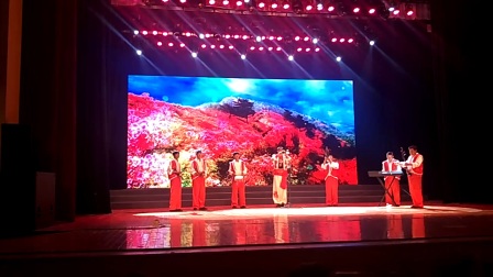 飞飞唢呐庆 文艺演出高清