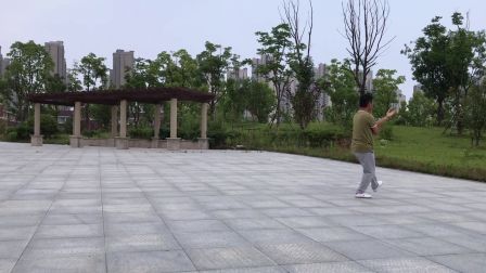 杨氏太极拳片段演练