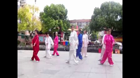上大聚丰园32式太极拳
