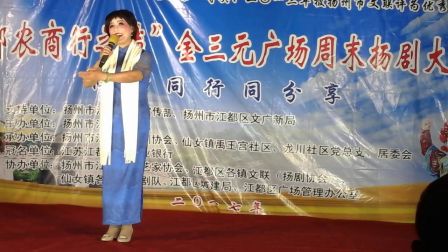 杭集扬剧戏迷票友联谊会应邀江都金三元广场