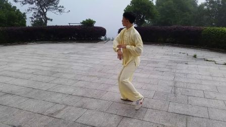 万式太极拳56式
