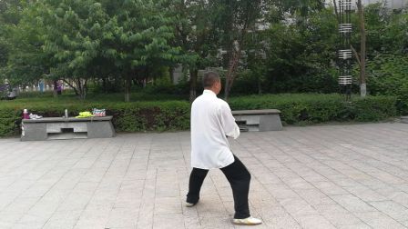 陈式太极拳