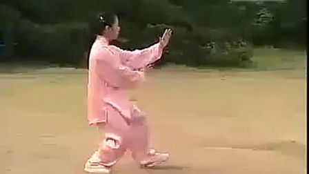 简化24（二十四）式太极拳教学视频