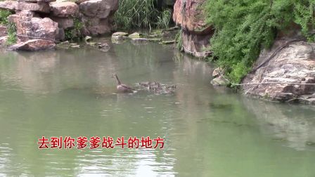 扬剧伴奏《蝶恋花 心向朝阳》