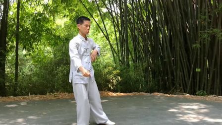 陈式心意混元太极拳38式炮锤