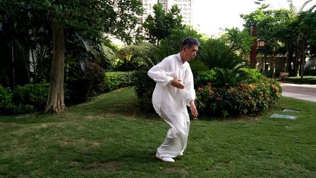 武当38式太极拳