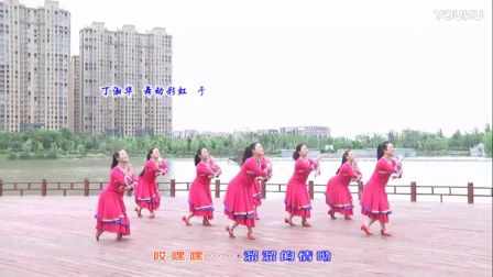 大王叫我来巡山舞蹈教学广场舞2016最新 高