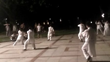 武当十三式太极拳