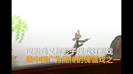 六岁小朋友表演皮影戏有板有眼 堪比专业演