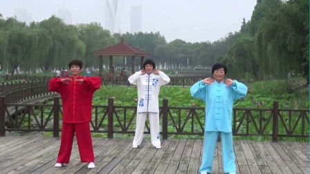 宗丽萍演示易筋经下载