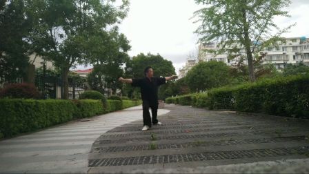 85式杨氏太极拳 元旦谷风水学堂