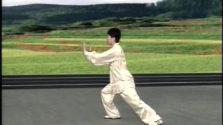 三十二式 太极拳