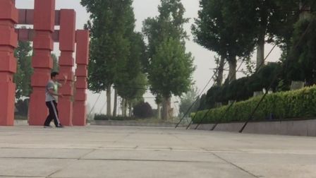 陈式太极拳老架一路74式 万和