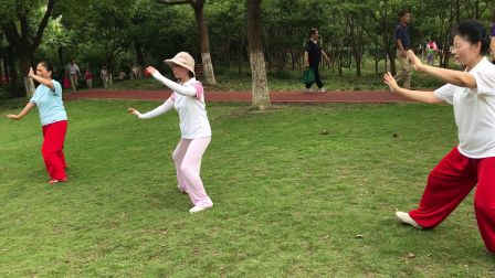 学练太极拳