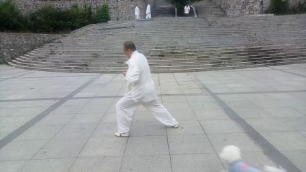 通化朱晓东陈式老架一路74式太极拳