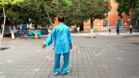 盛得林陈氏太极拳老架一路74式(正向)