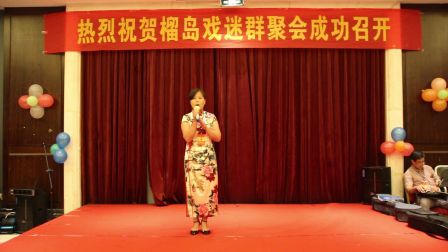 黄梅戏《天仙配》标清