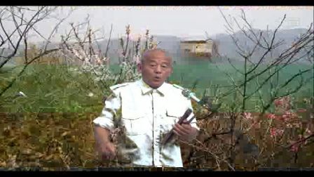 张疤 瘌演唱琴书《火头楼传说》