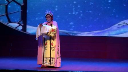 淮剧选段《鹅毛大雪乱纷纷》星光艺术团表演