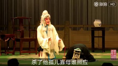 武汉楚剧院楚剧《姑嫂奇冤》朱昌敏 余维刚2