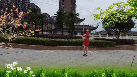 安萍广场舞《男神女神都风采》编舞惠州玲玲