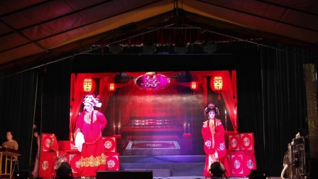 《玉牡丹》六月十八日高清