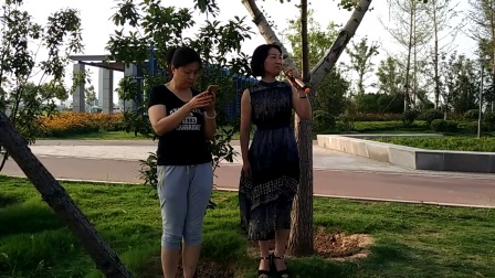 大平调《铡赵王》用手儿接过来冤枉大状 张